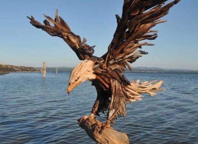 Водные птицы амазонки названия и фото