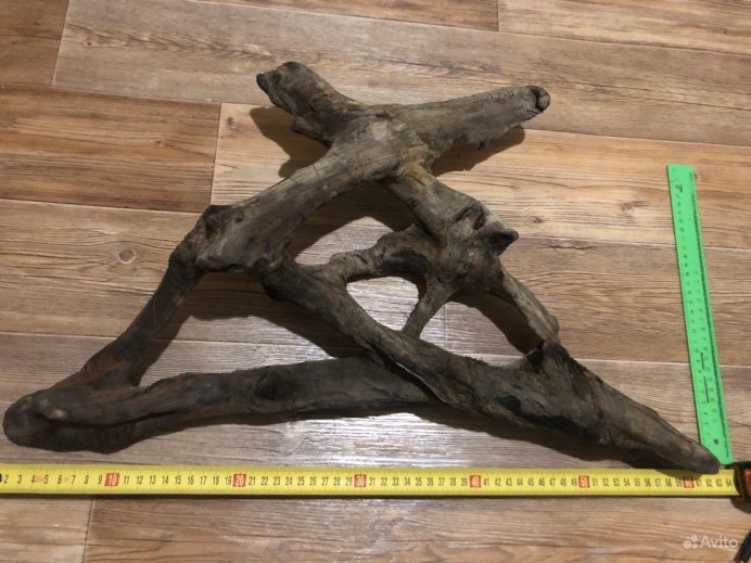 Кристофер Уайт корнепластика