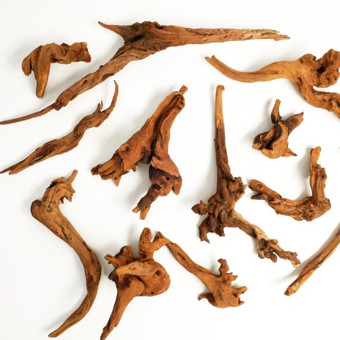 Замшелая коряга