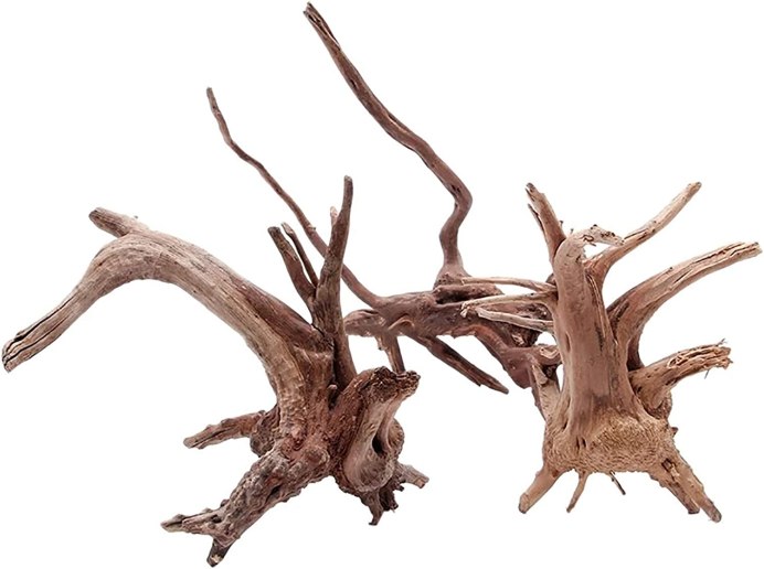 Балтийский залив коряги