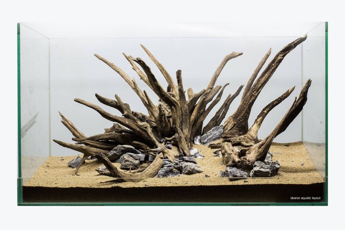 Фото Совы на рабочий стол