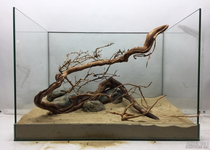 Грустная птица на пне