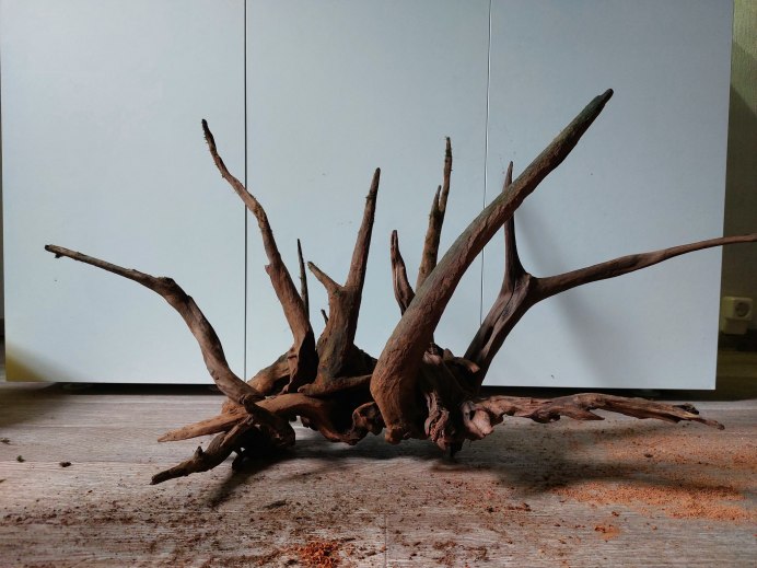 Фото коряг на течении