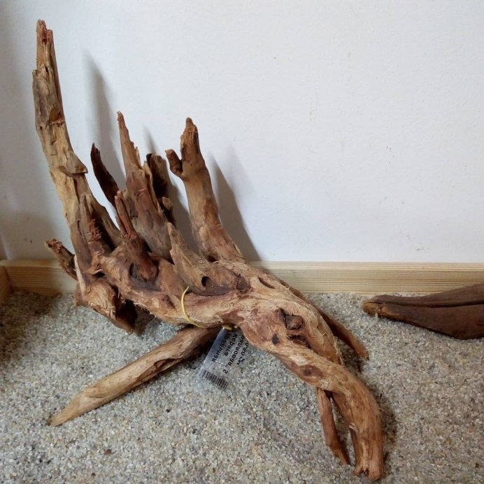 Сибирская коряга