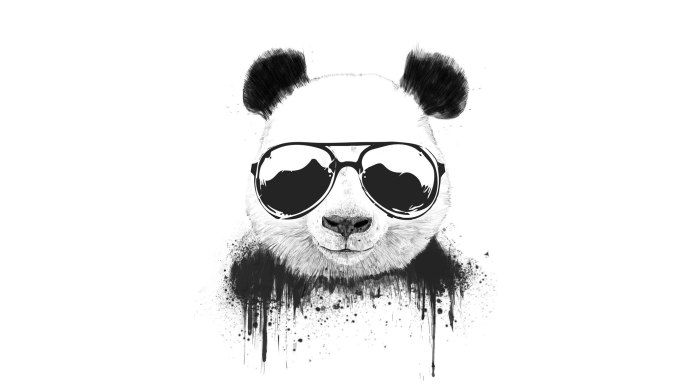 Панда Сергея Резниченко