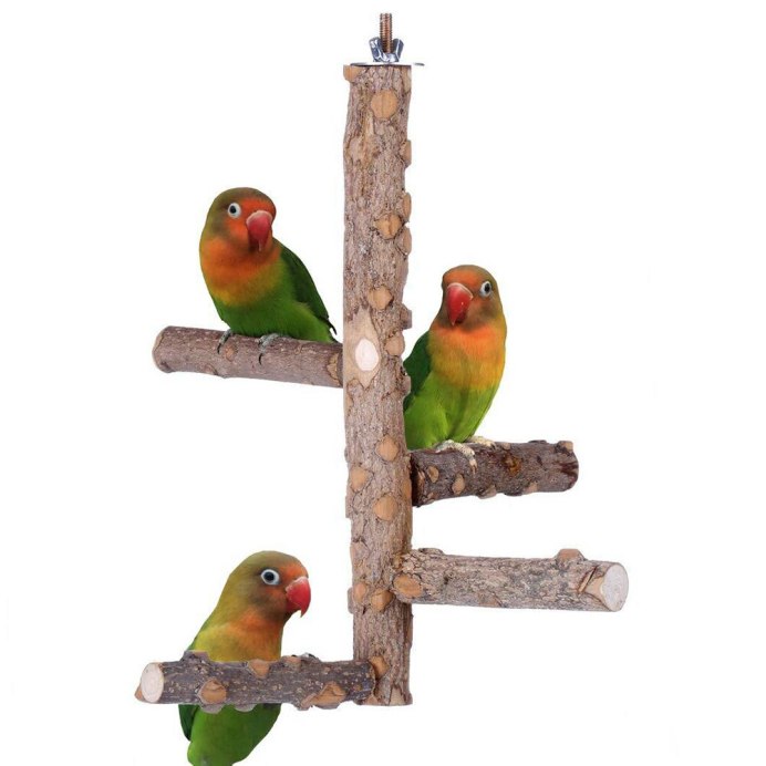 Корелла Cockatiel