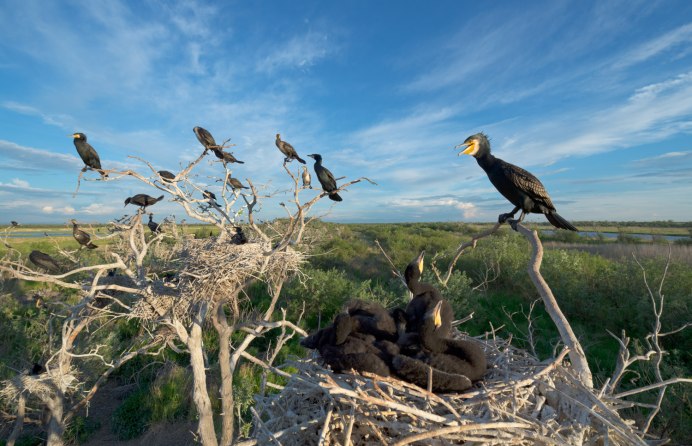 Кабанский заказник Байкал
