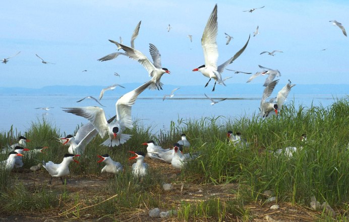 Байкальский заповедник Кабанский заказник