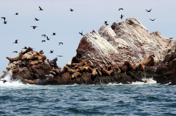 Сахалин Поронайский заповедник