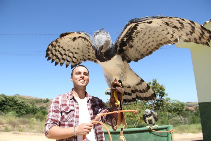 Южноамериканская Гарпия и человек