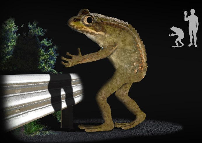 Лягушки сидят друг на друге