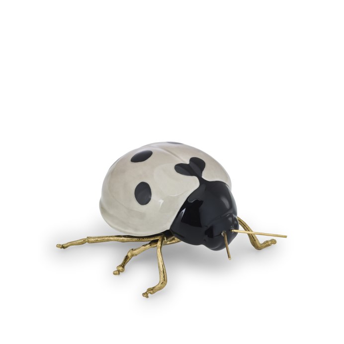 Божья коровка anatis labiculata