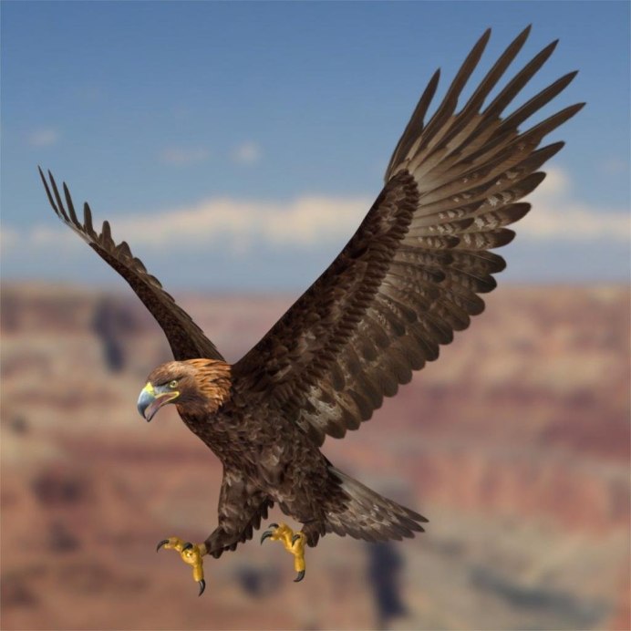 Беркут Халзан