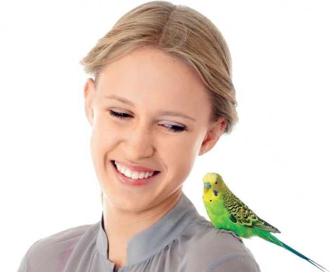 Человек с попугаем