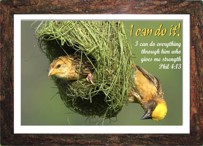 Nest гнездо