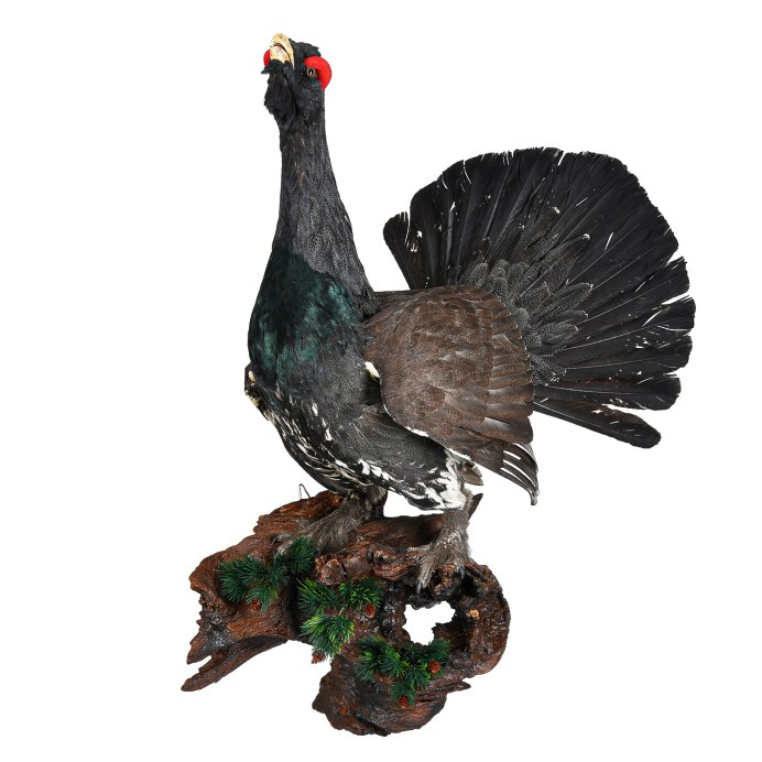 Змея Глухарь фото