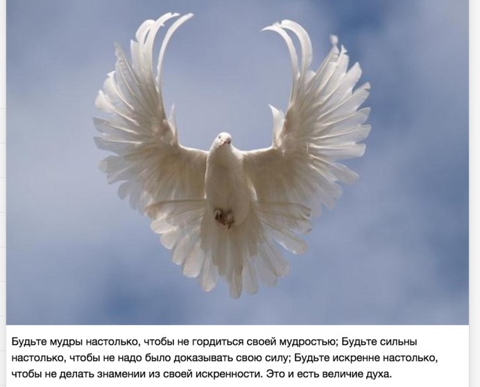 Голубь с расправленными крыльями