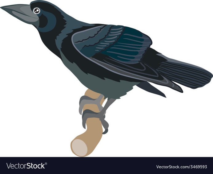 Ворона картинка для детей