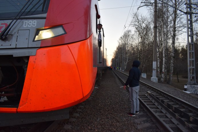 Какого цвета клюв у ласточки