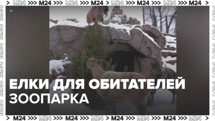 Национальный заповедник Сагарматха Непал животные