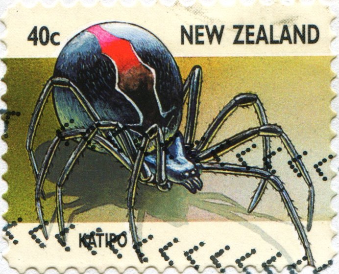 Biology of Spiders