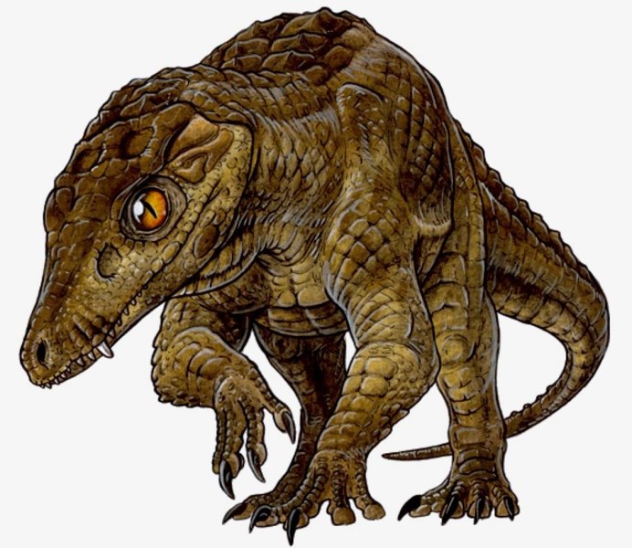 Araripesuchus wegeneri