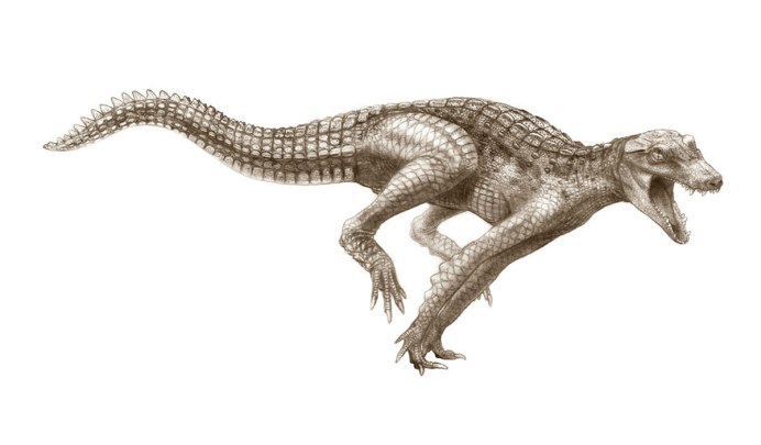Kaprosuchus saharicus