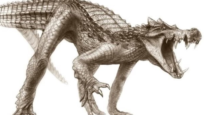 Kaprosuchus saharicus