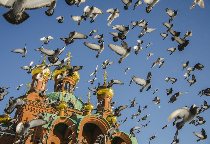 Синяя Расписная Ванга