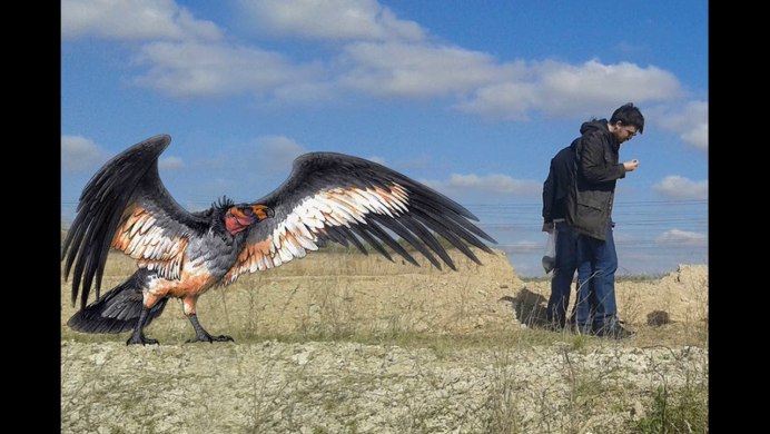 Южноамериканская Гарпия охотится