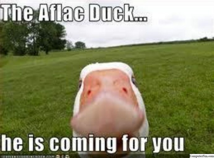 Мемы про гусей