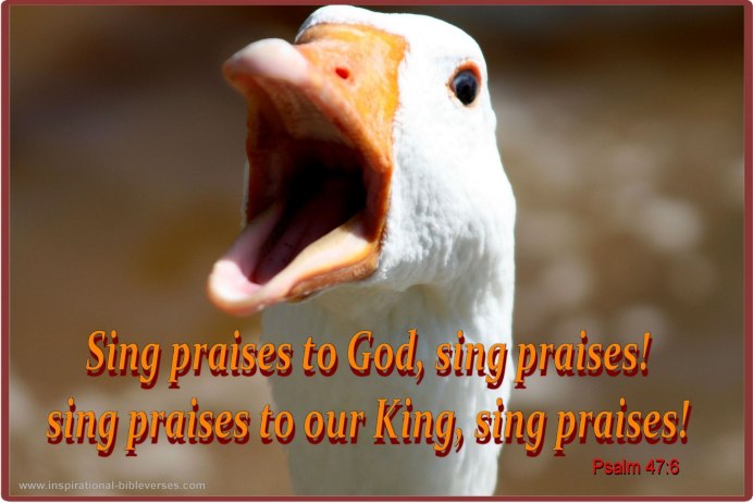 Гусь кричит