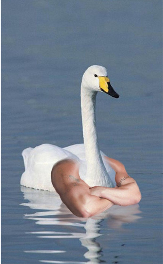 Гусь с руками человека