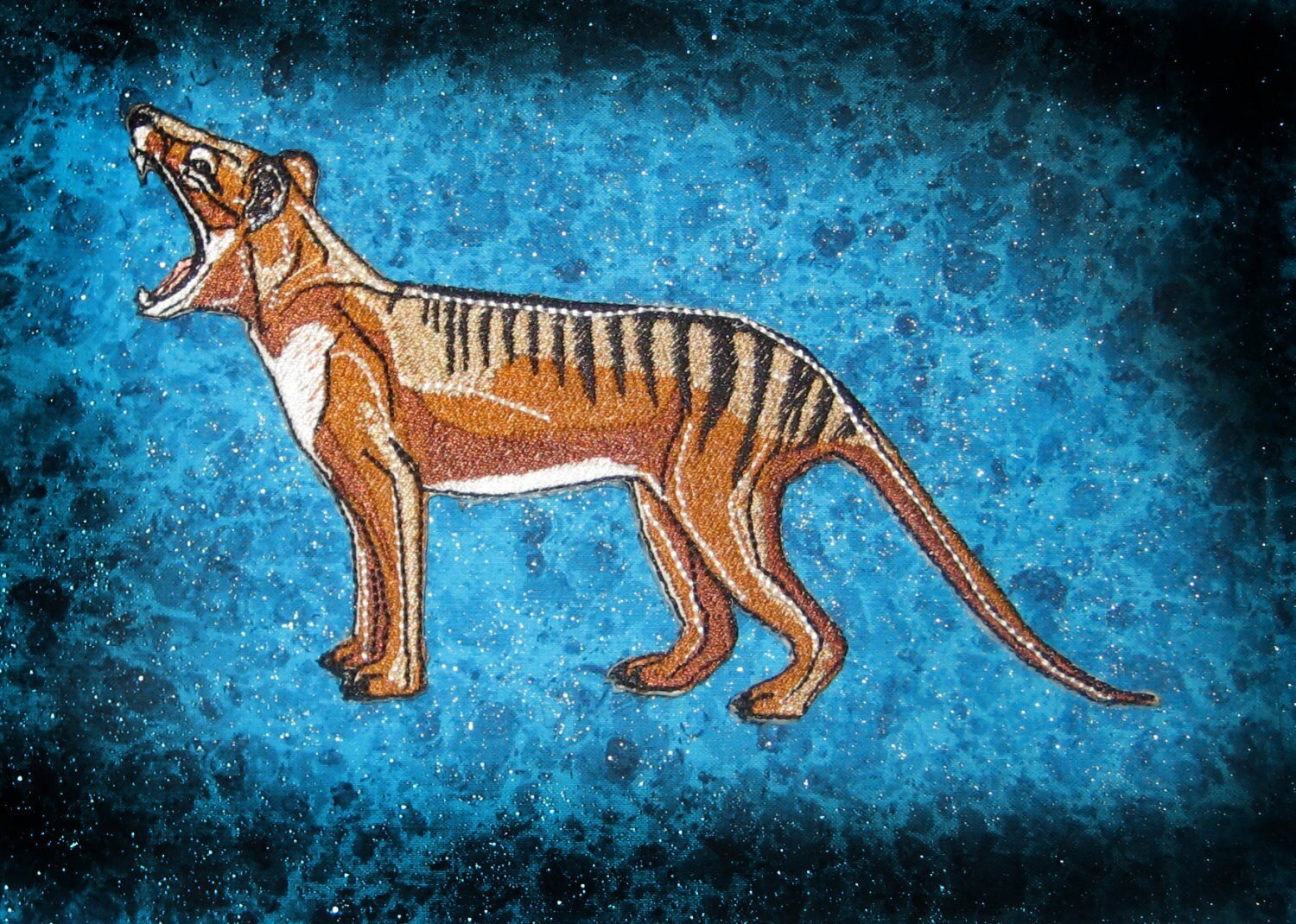 Thylacine. Тасманийский сумчатый волк. Тилацин сумчатый волк. Тасманийский волк (тилацин). Тилацин тигр.