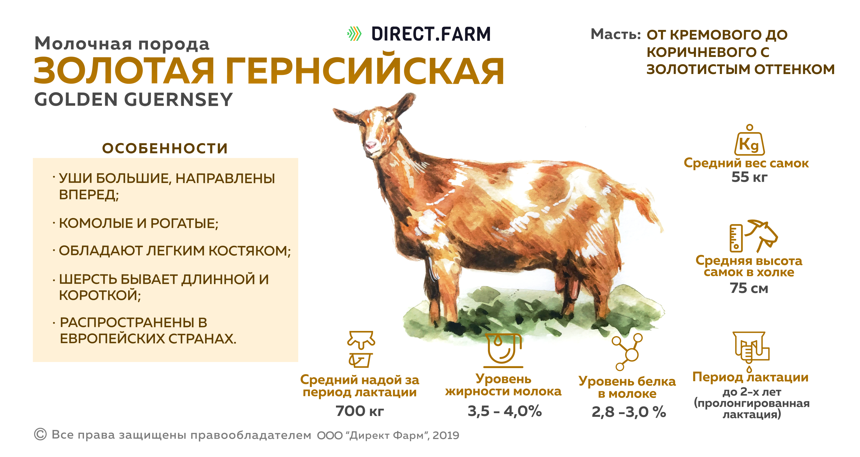 Характеристика пород коз. Продуктивность молока пород коз. Золотая Гернсийская порода коз. Молочные породы коз сравнительная таблица. Таблица продуктивности коз.