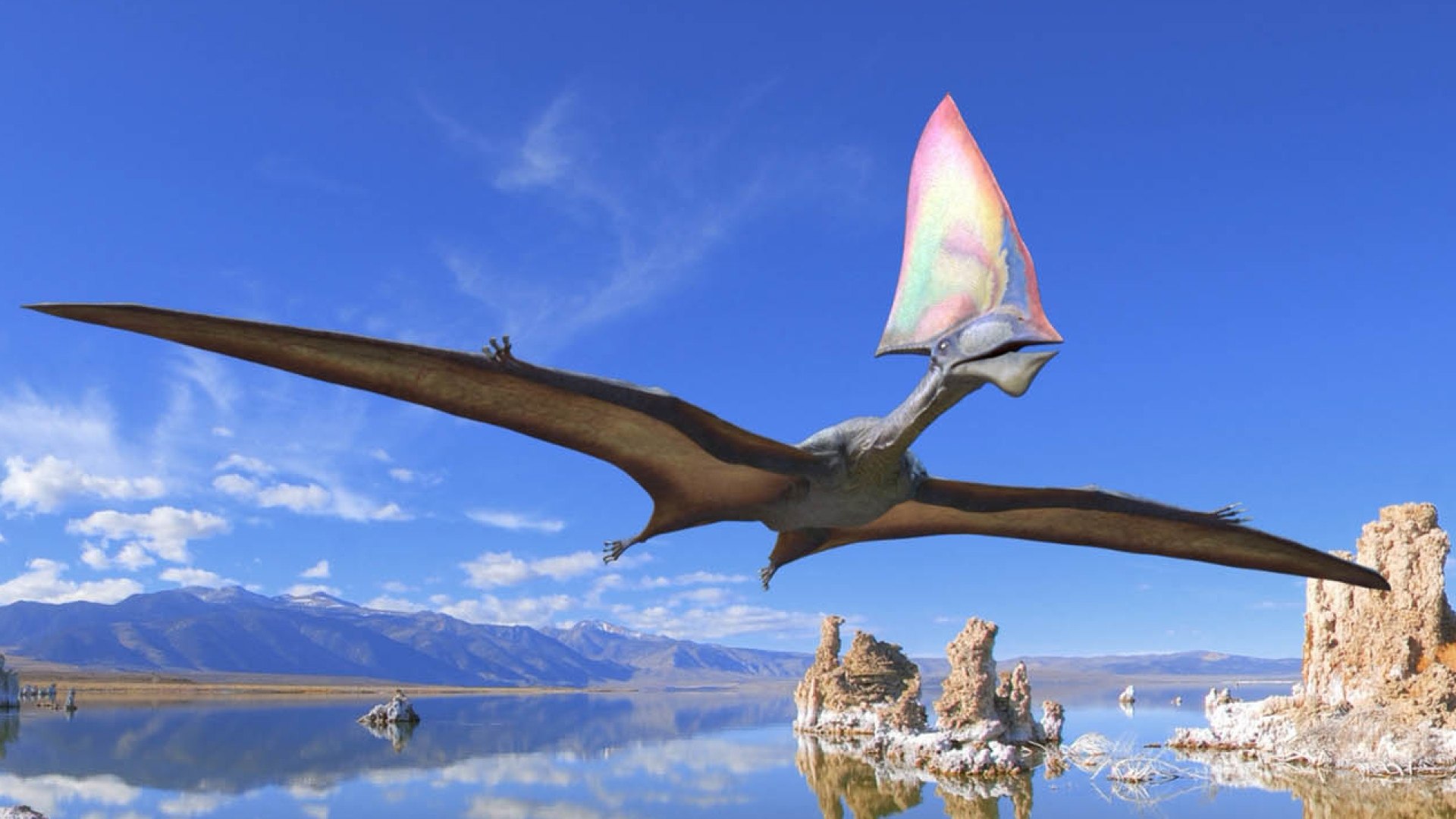 Птиродактель. Птерозавр Птеранодон. Птерозавры Триасового периода. Динозавры летающие Птеранодон. Птеродактиль динозавр.