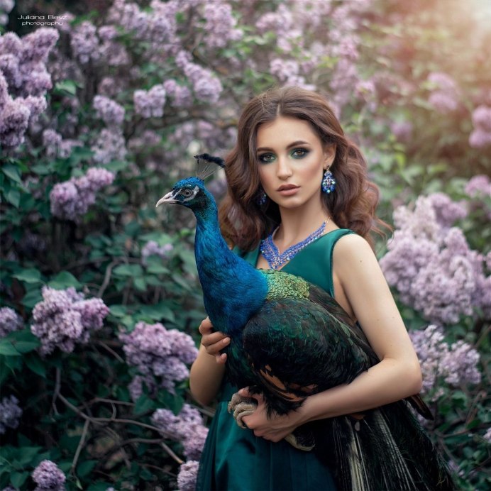 Длинная шея павлина