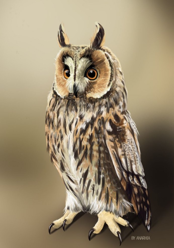 Филин окрас