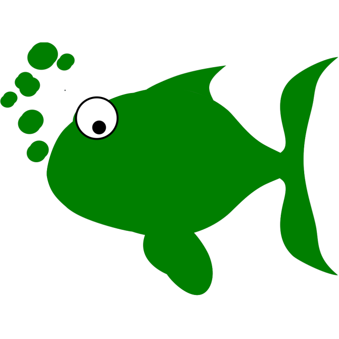Holacanthus ciliaris