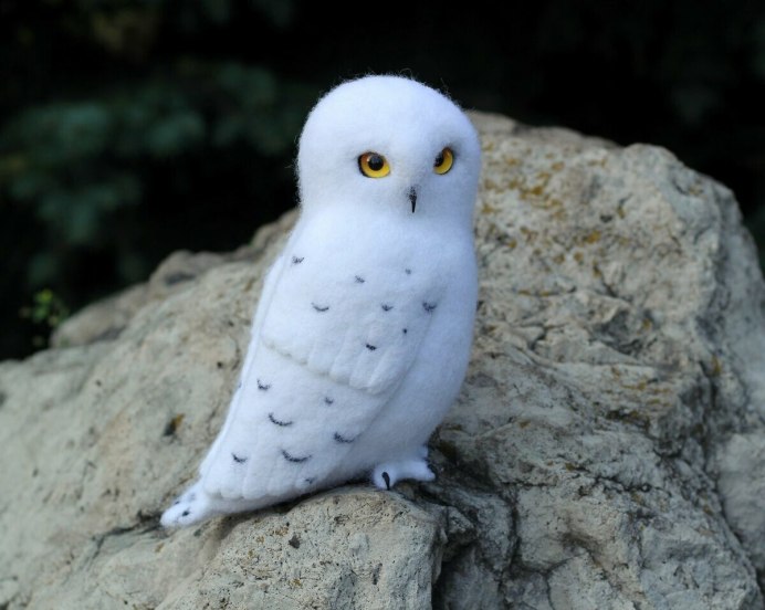 Совы Полярные