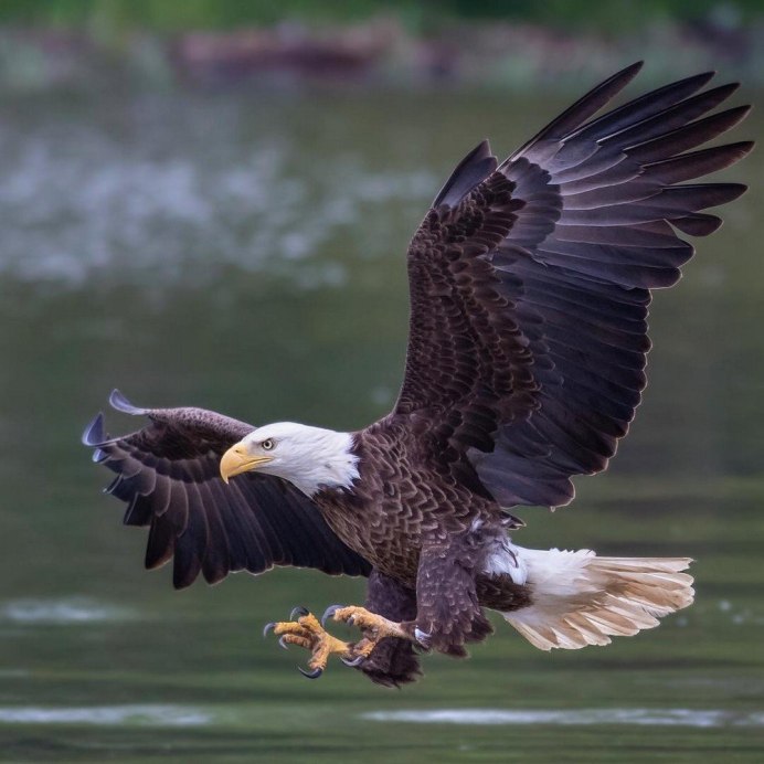 Гора Коба Кая новый свет