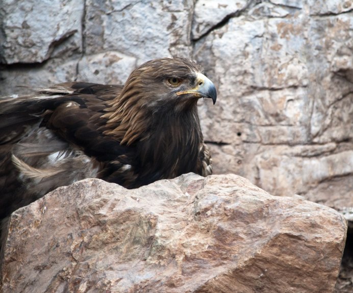 Хапхальское ущелье Крым