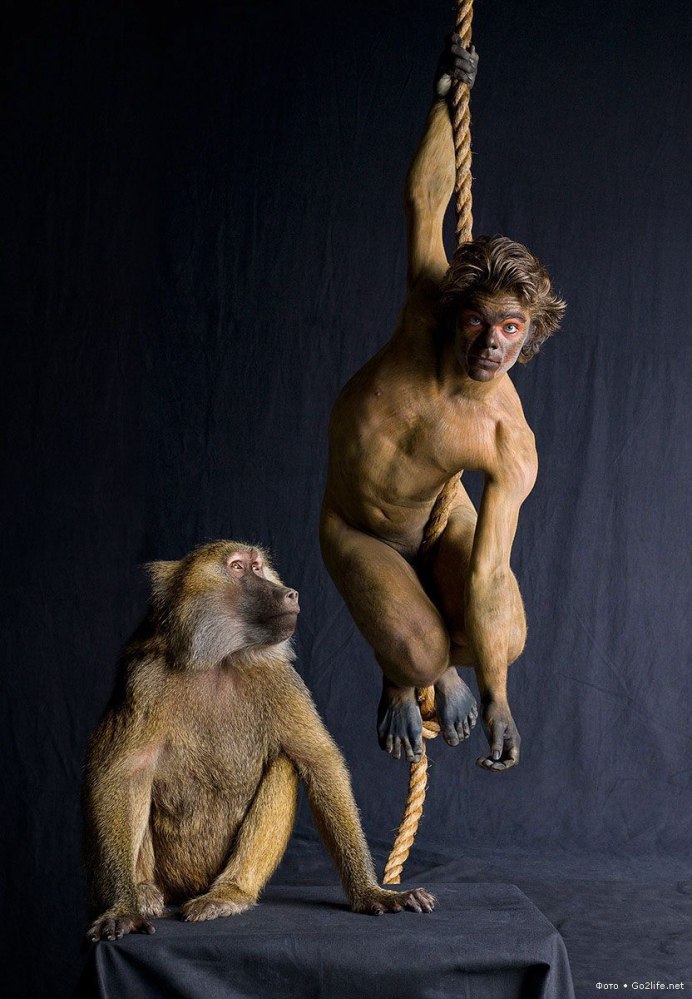 Премия comedy Wildlife Photography