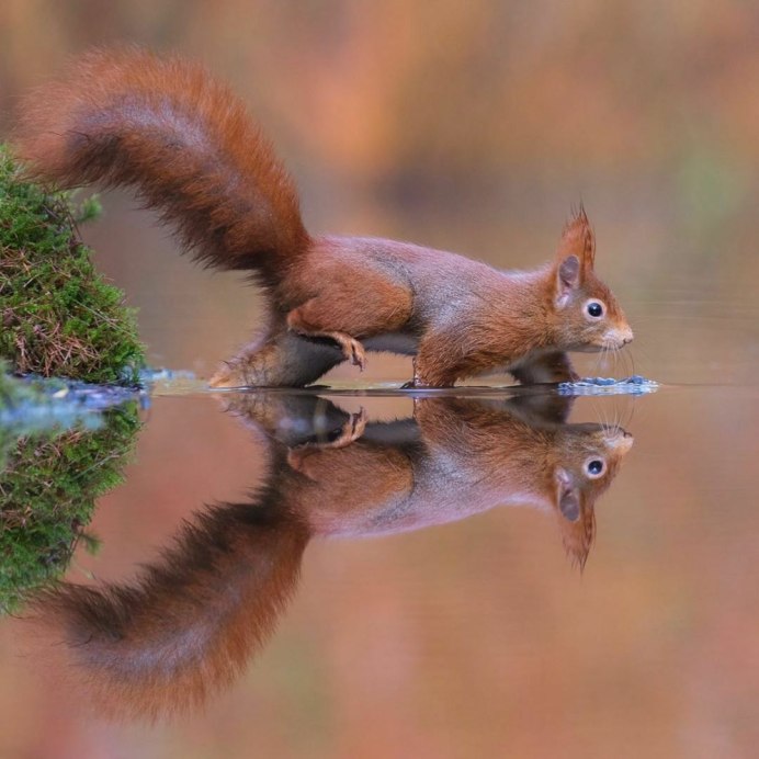 Фотограф Дик Ван Дуйн