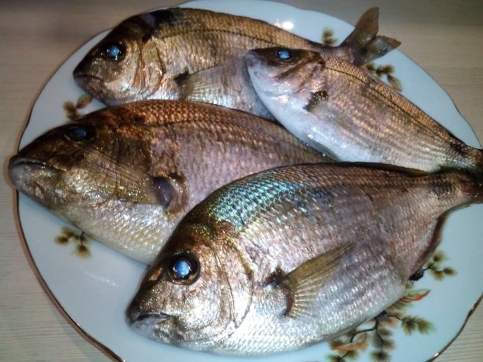 Ласкирь Черноморский
