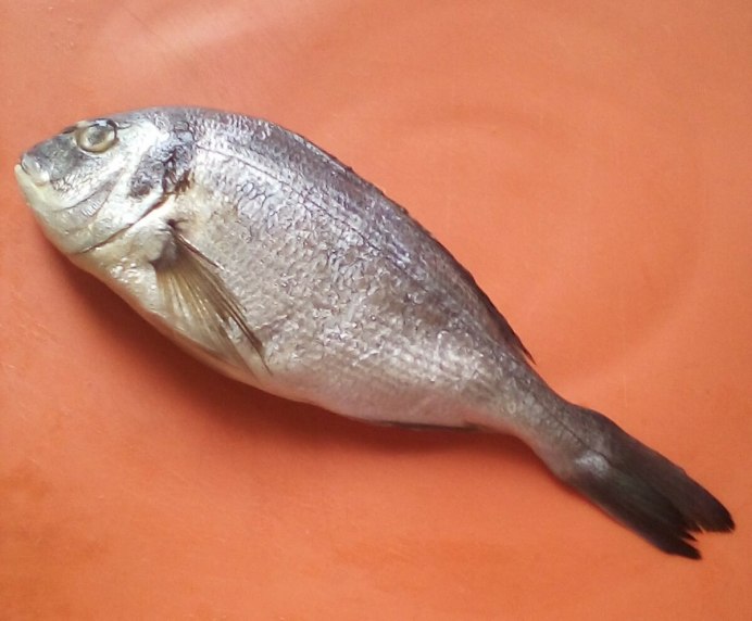 Морские караси Sparidae
