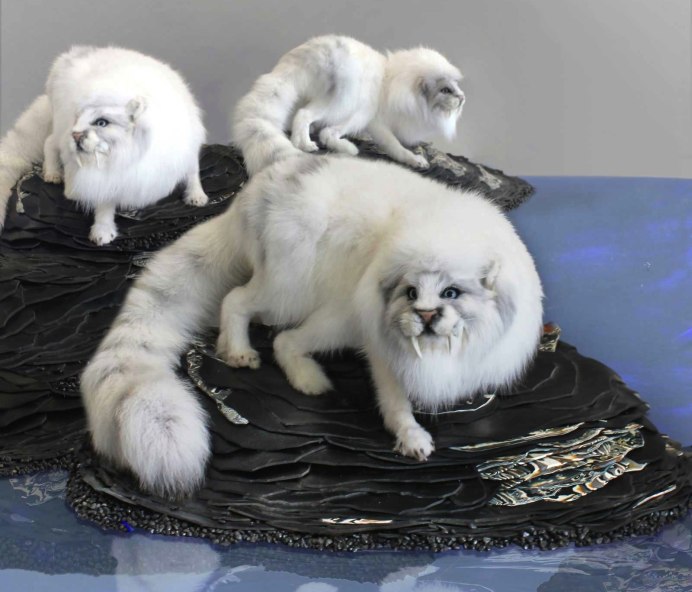 Тасманский дьявол