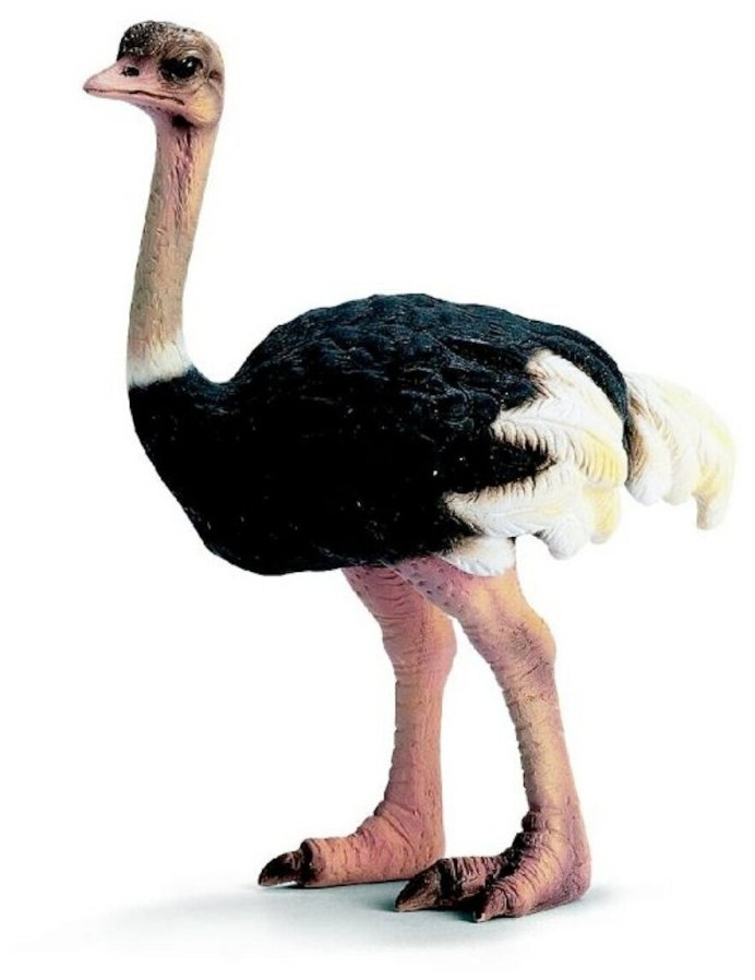 Фигурка Schleich страус 14325