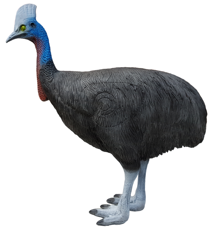 Фото белый страус на черном фоне