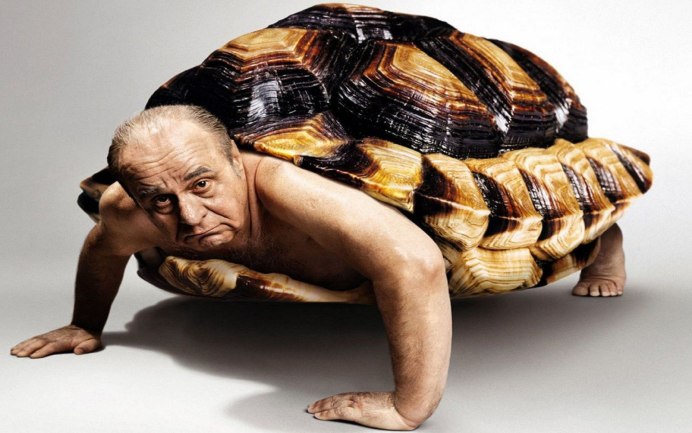 Черепаха шпороносная Centrochelys sulcata